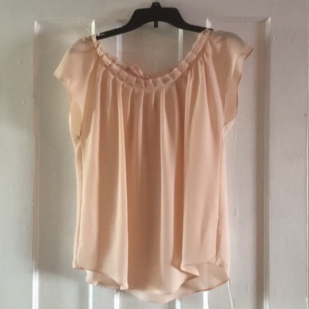 Sheer Peach Blouse 🍑